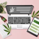 Cannabis Dispensary Local SEO: How to Dominate Your Local Market