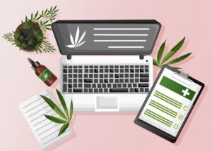 cannabis dispensary local seo